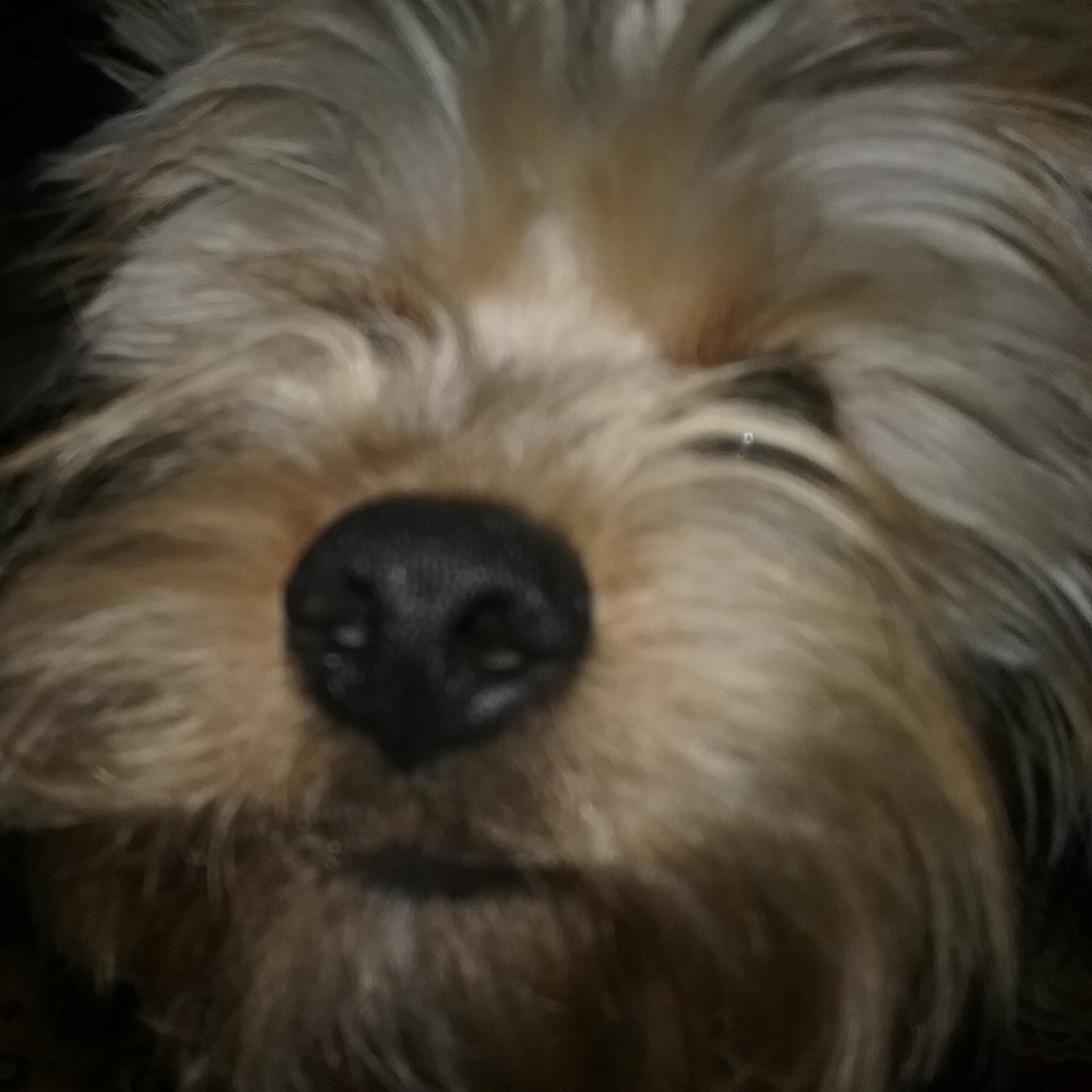 Meet your Posher, Adriana